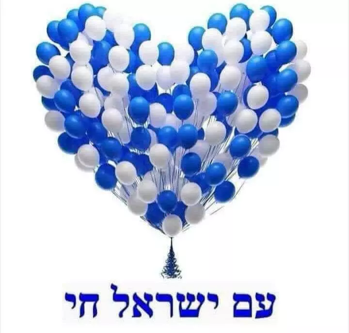 טל גרינברג