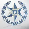 משטרת ישראל משטרת ישראל