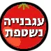 עגבנייה נשטפת