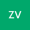 Zvi Vidi