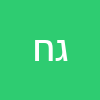 גיא חסין