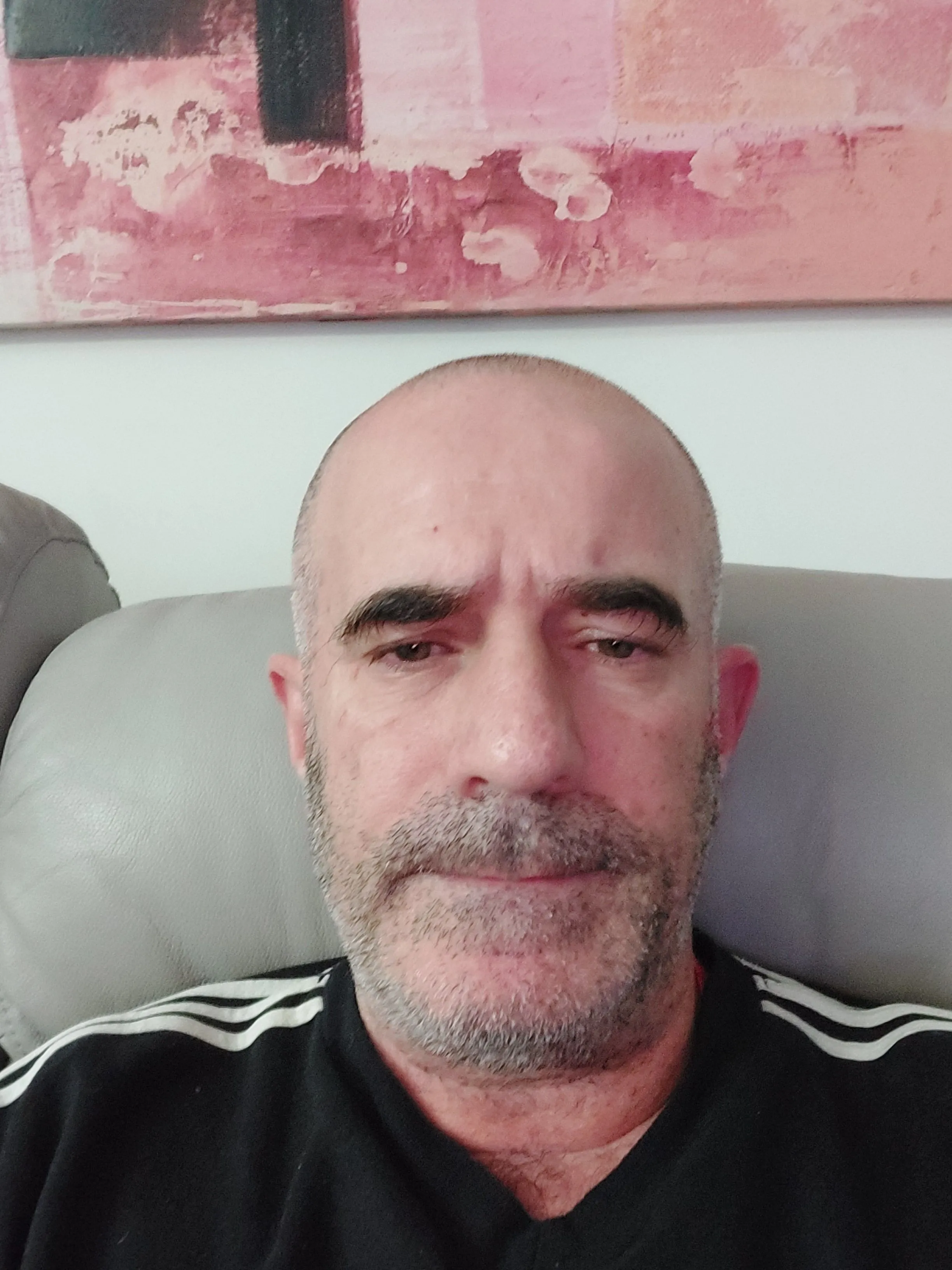 שי לוי