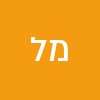 מיר לוגסי