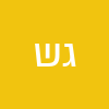 גדעון שירין