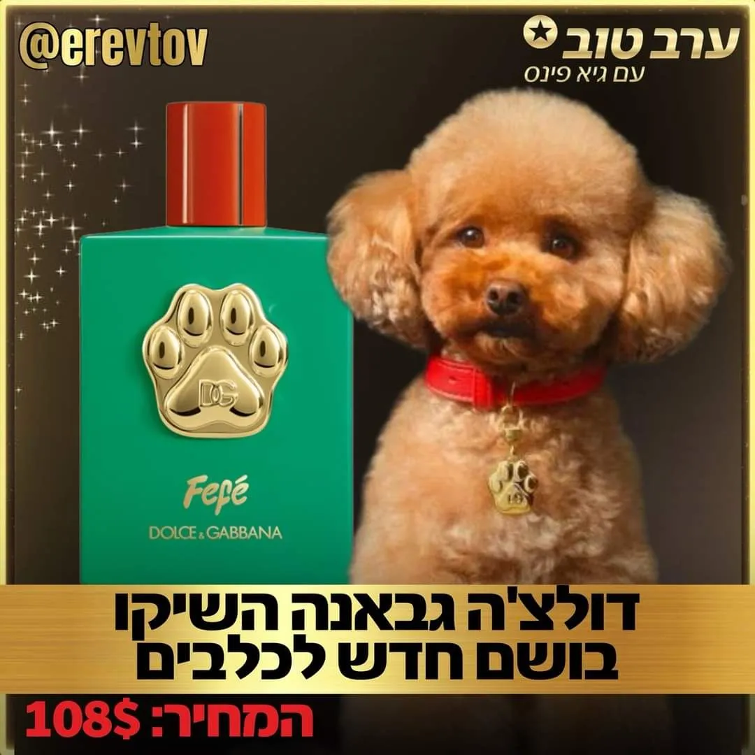 תן ביס