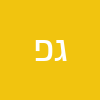 גיל פינקלשטיין
