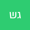 גיא שושן