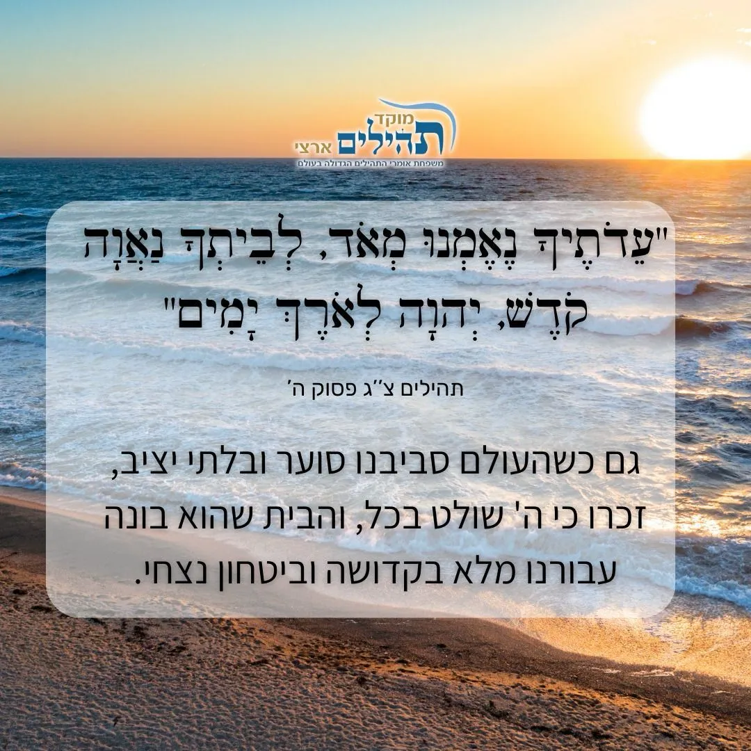 ליז זוהר