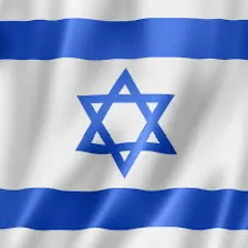 אריאל דרורי 
