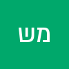 מנשה שטיין