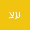 עוזי צעירי