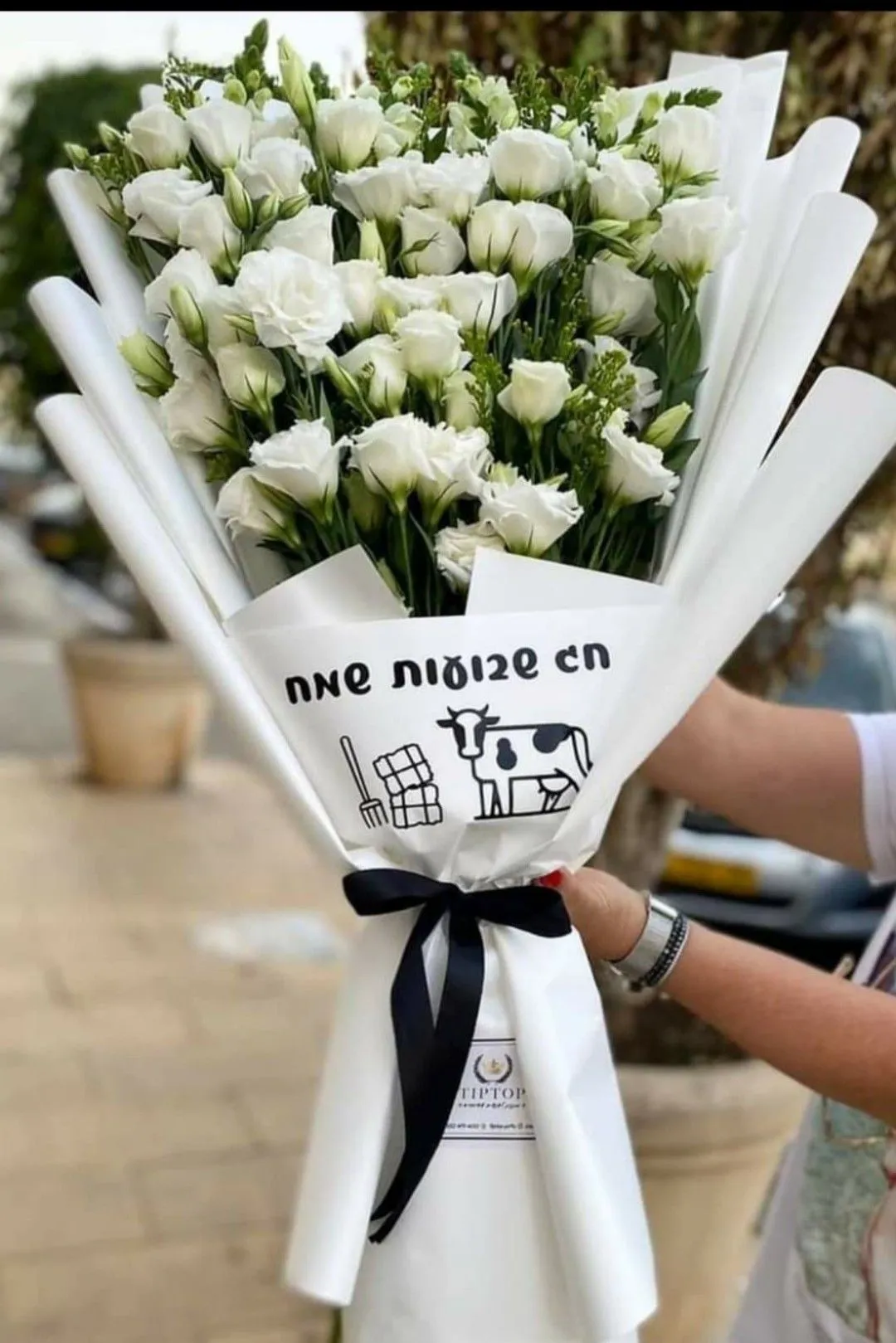 דין דין