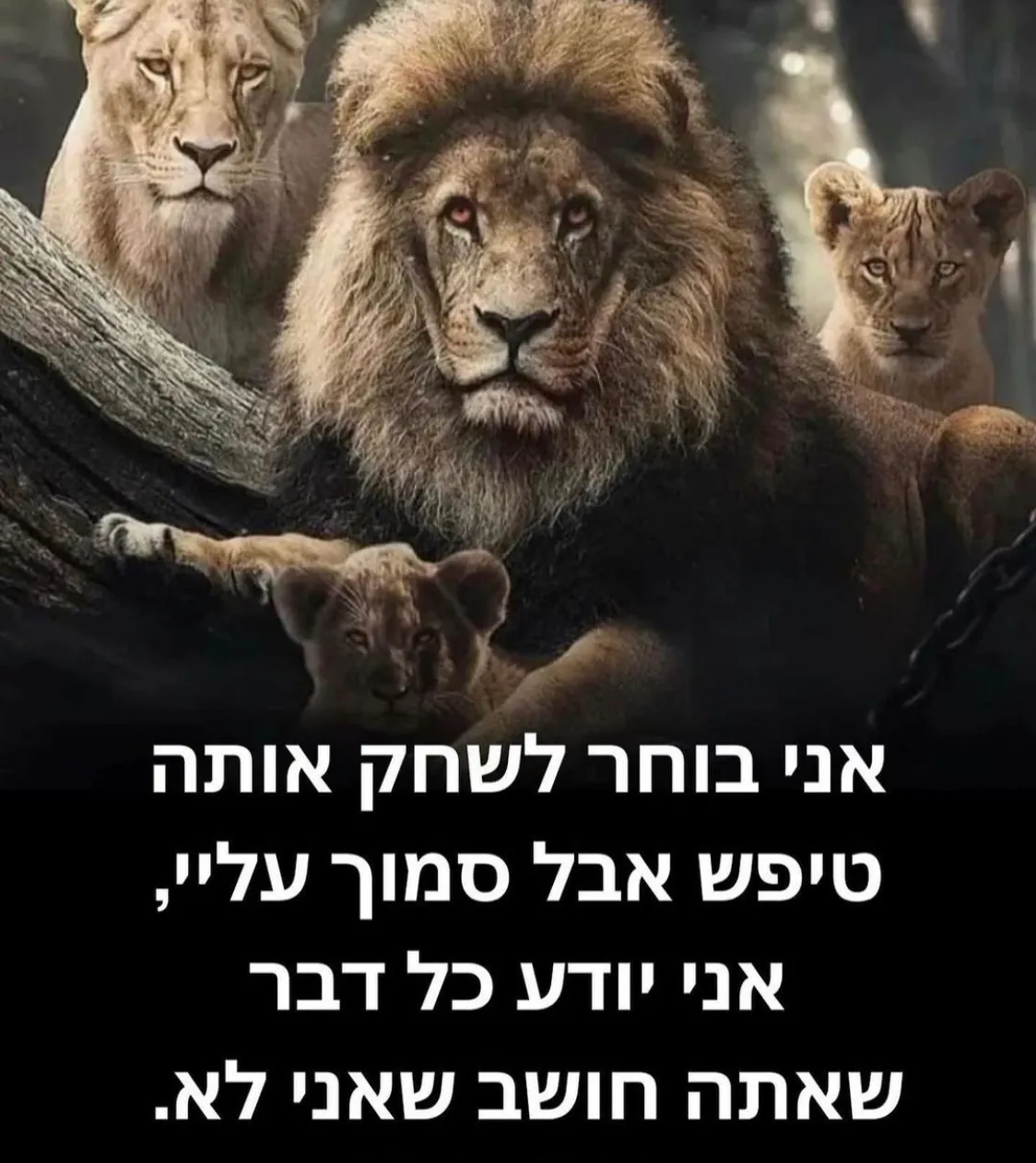 🕊️ 🍃🫒  כל כלב יבוא יומו