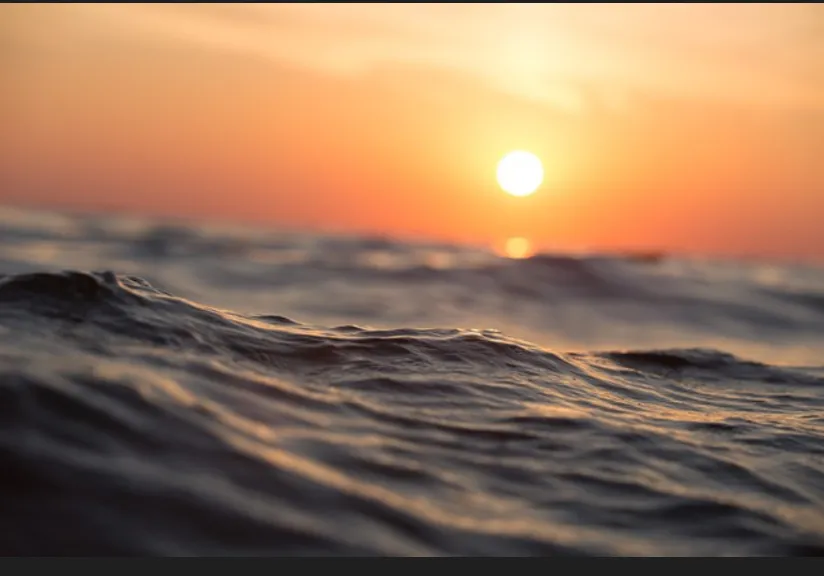 רון גרובמן כתב בחדשות הימין 