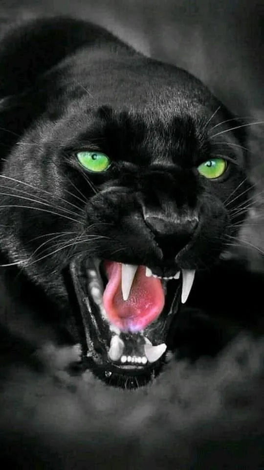 שמע ישראל השם אלוקינו  השם אחד