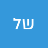 שמעון לוי