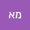 מאיר א