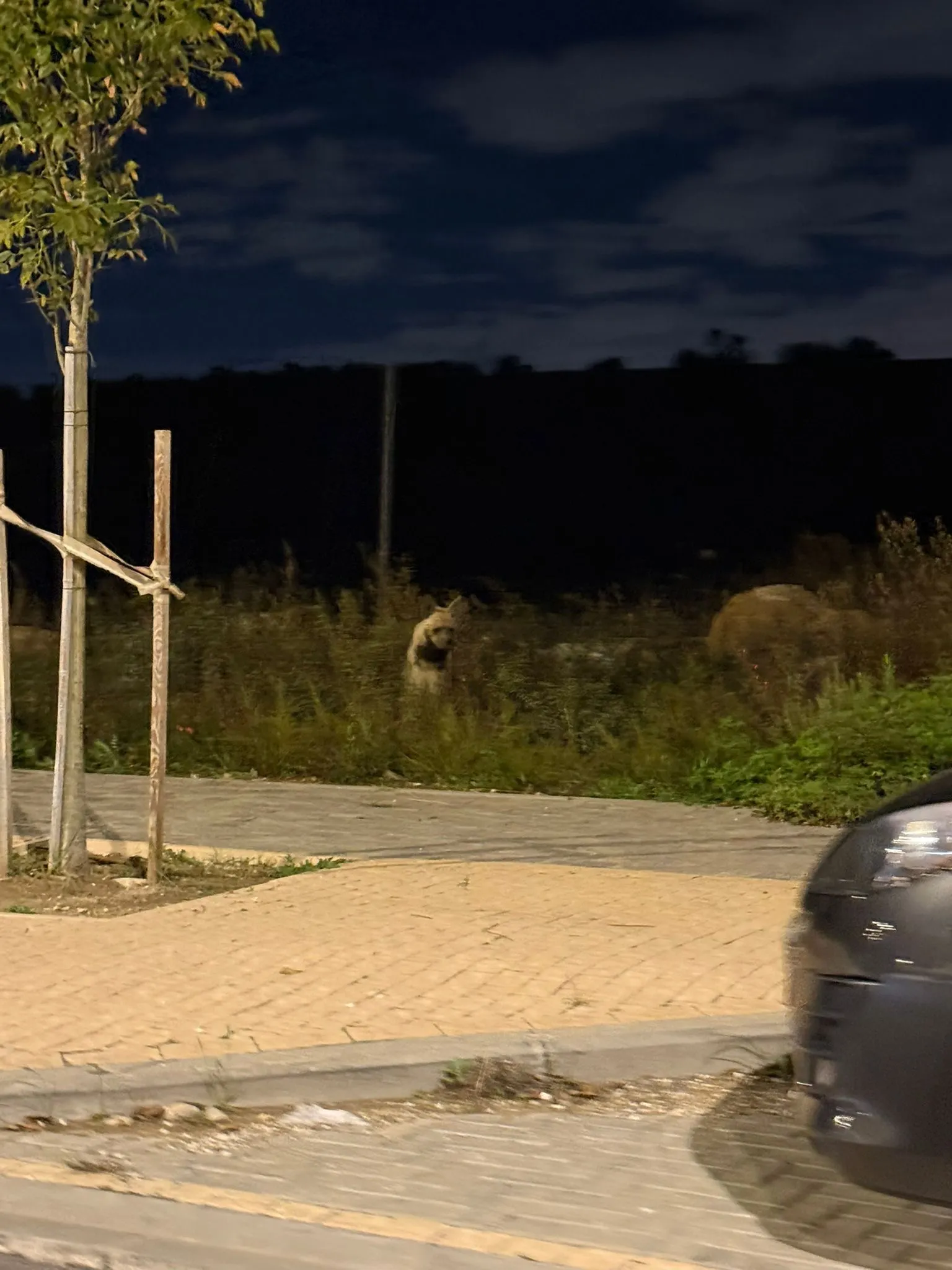 התקשורת היא המרגלת של המדינה 