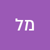 משה  לוי  