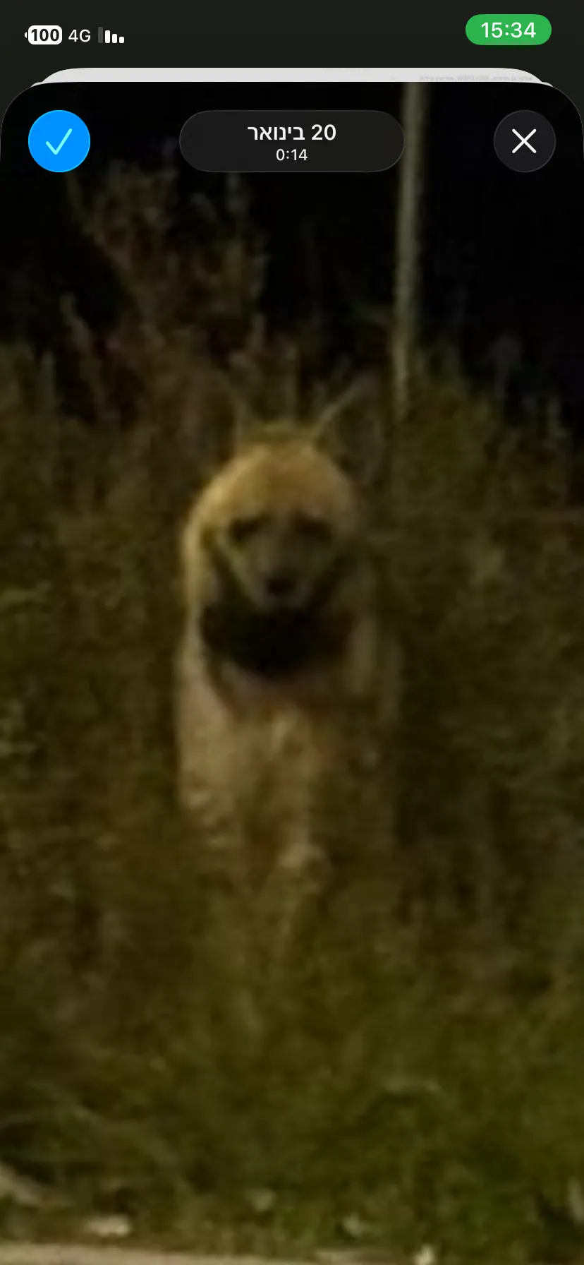 ממשלה  שהביאה עלינו קללות 