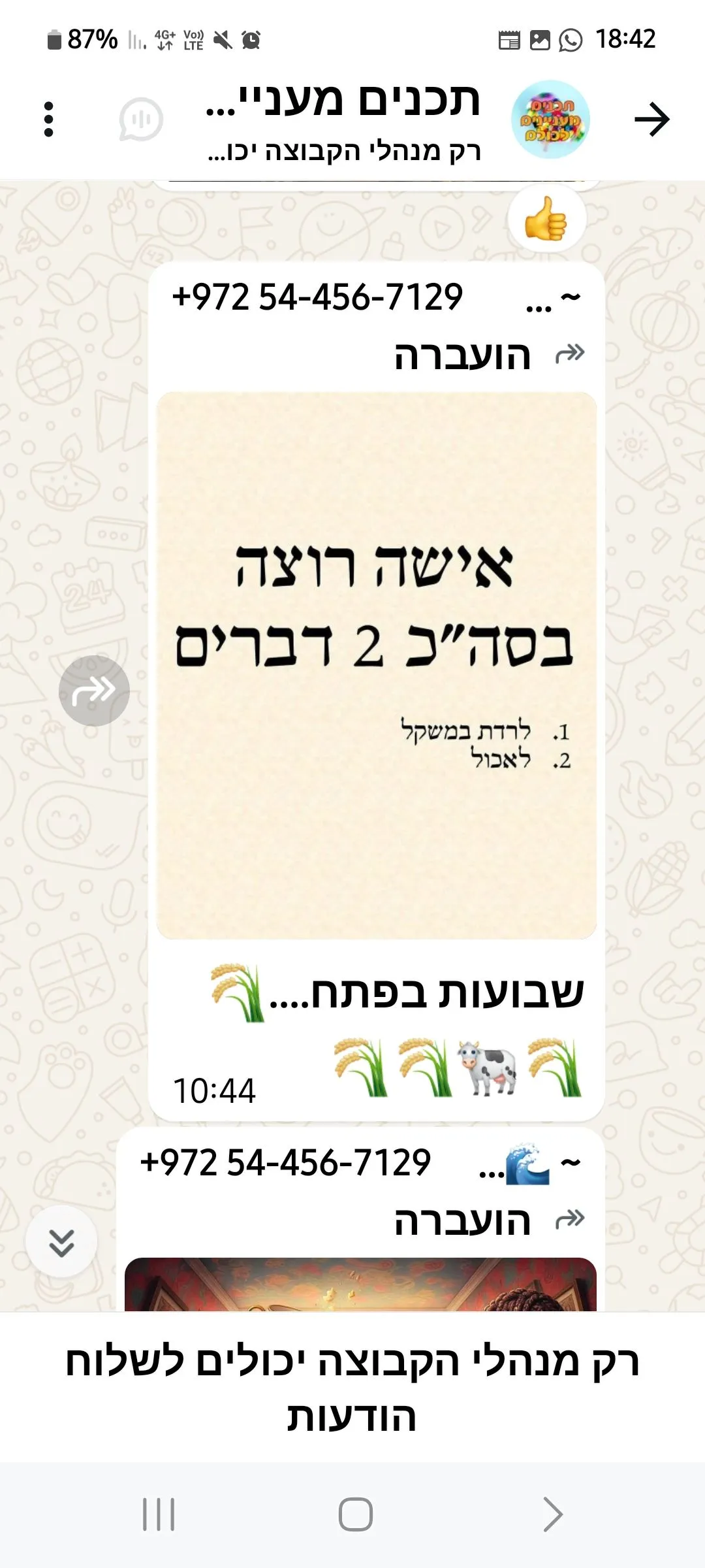 סיני 6